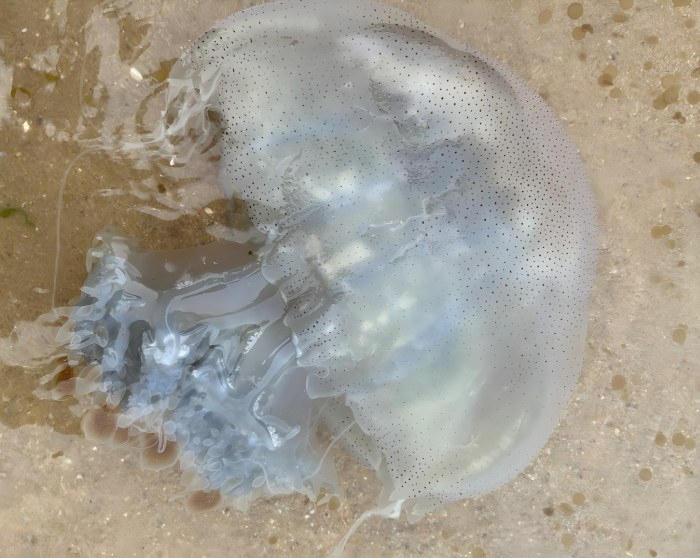 ScreenShot_2025-12-29_101335_513(1).jpg ScreenShot_2025-12-29_101335_513(1).jpg